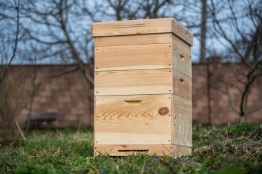 One new set of wooden beehive in the spring garden, close up clipart