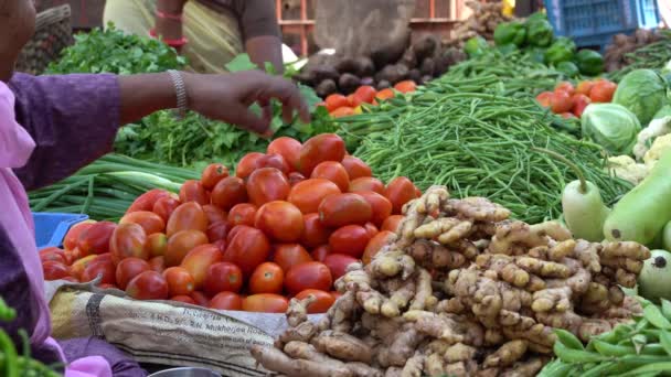 Udaipur India November 2018 라자스탄의 우다이푸르의 시장에서 야채를 무역상 — 비디오