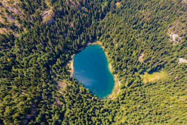 Yoğun kozalaklı ve kayın ormanlarıyla çevrili dağ gölü manzarası. Karadağ, Avrupa. Karadağ 'da ona Zabojsko Jezero diyorlar ve 1481 metre yüksekliğe sahip.