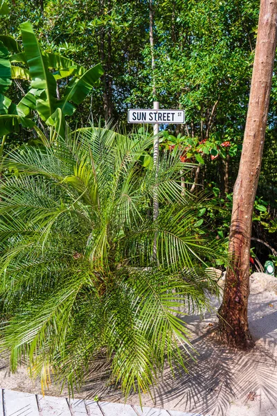 Grüne Palme Und Eine Säule Mit Einem Zeiger Auf Die — Stockfoto