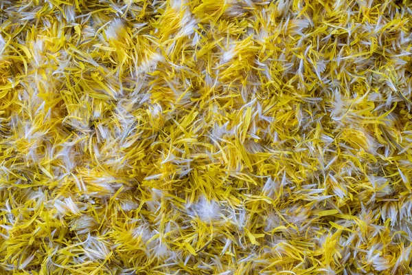 Свіжі Жовті Кульбаби Квіти Пелюстки Варення Фоні Вид Зверху Текстура — стокове фото