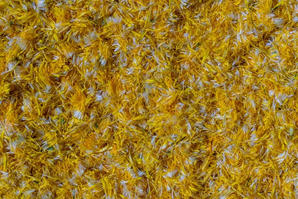 Świeże Żółte Płatki Kwiatów Mniszka Lekarskiego Dżemu Tle Widok Góry — Zdjęcie stockowe