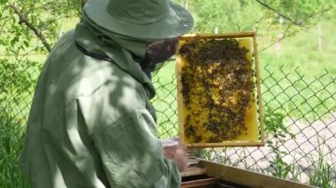 Arı kostümü giyen çiftçi arıda bal peteğiyle çalışıyor. Kırsalda arıcılık. Arıcı kostümlü bir erkek arı yetiştiricisi, elinde bal peteği olan ahşap bir çerçeveyi inceler, kapatır.