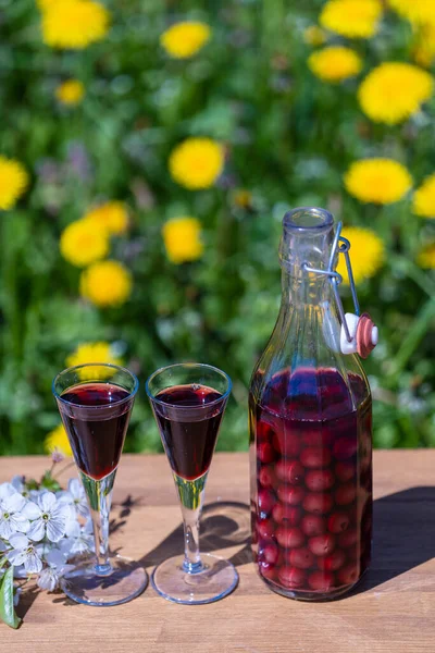 夏の庭の木のテーブルの上に2つのガラスとガラスボトルの自家製チェリーブランデー クローズアップ — ストック写真