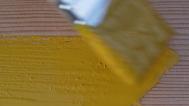用画笔的特写在松木板上涂上黄色的油漆 带有油画的木材表面绘画 翻新概念 — 图库视频影像