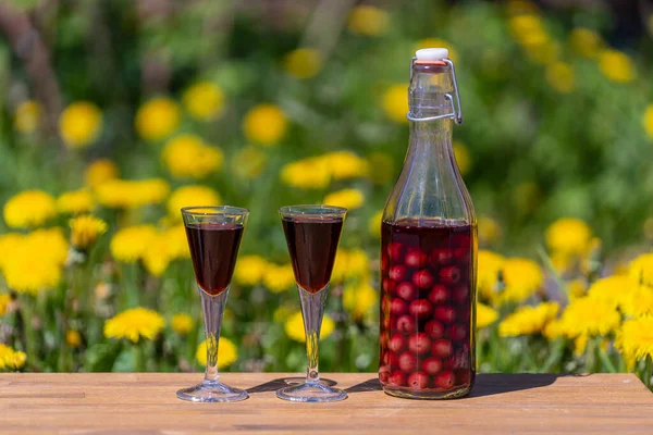 Homemade Cherry Brandy Two Glasses Glass Bottle Wooden Table Summer — 스톡 사진