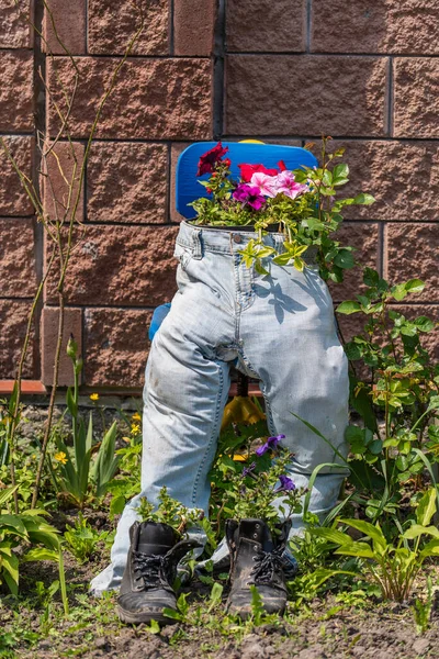 Jeans Botas Como Macetas Jardín Primavera Cerca Idea Decoración Jardín —  Fotos de Stock