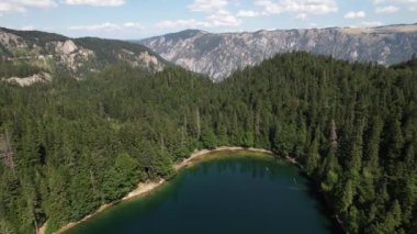 Yoğun kozalaklı ve kayın ormanlarıyla çevrili dağ gölü manzarası. Karadağ, Avrupa. Karadağ 'da ona Zabojsko Jezero diyorlar ve 1481 metre yüksekliğe sahip.