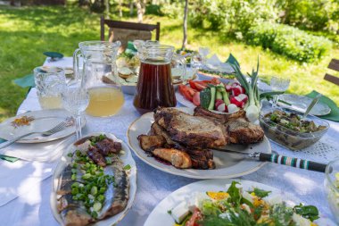 Masadaki tüm Ukrayna yemekleri yenebilir. Yaz bahçesinde, açık havada, bir sürü hazır yemek ve yiyecek olan masa.