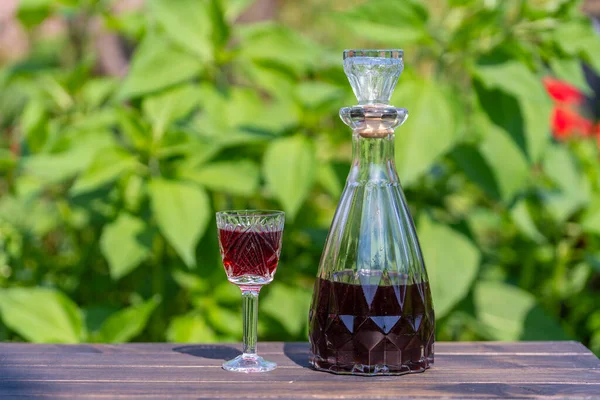 Homemade Cherry Brandy Glasses Glass Bottle Wooden Table Summer Garden — Foto Stock