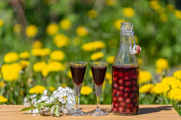 Homemade Cherry Brandy Two Glasses Glass Bottle Wooden Table Summer — Foto de Stock