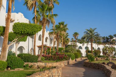 Mısır 'ın Sharm El Sheikh kentindeki tropikal sahil beldesinde palmiye ağaçları, beyaz binalar ve taş patikaların güzel manzarası