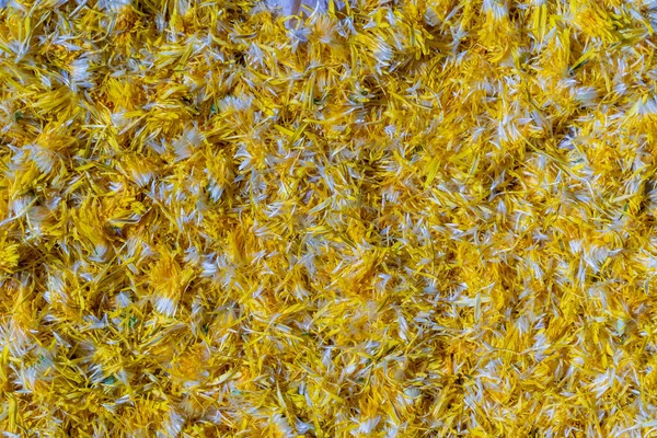 背景にジャムのための新鮮な黄色のタンポポの花びら トップビュー 質感生の黄色のタンポポの花びら クローズアップ — ストック写真