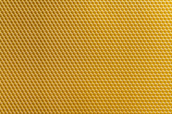 Souvislosti Textura Vzor Sekce Voščína Voskového Voskového Plástve Včelího Hnízda — Stock fotografie