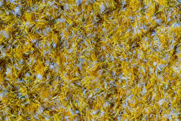 Φρέσκα Κίτρινα Πέταλα Λουλουδιών Πικραλίδας Για Μαρμελάδα Φόντο Πάνω Όψη — Φωτογραφία Αρχείου