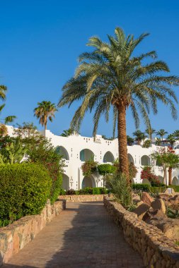 Mısır 'ın Sharm El Sheikh kentindeki tropikal sahil beldesinde palmiye ağaçları, beyaz binalar ve taş patikaların güzel manzarası