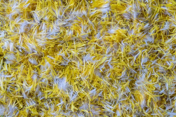Fresh Yellow Dandelion Flowers Petals Jam Background Top View Texture — Stock Photo, Image