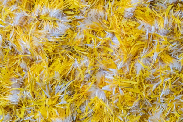 Fresh Yellow Dandelion Flowers Petals Jam Background Top View Texture — Stock Photo, Image