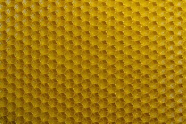 Háttér Textúra Minta Szakasz Voshchina Viasz Méhsejt Fésű Egy Méhkas — Stock Fotó