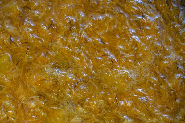 タンポポの花の熟した黄色の花弁からジャムを作る オレンジ レモンと砂糖 トップビュー 閉じる タンポポの有名な薬用植物 — ストック写真