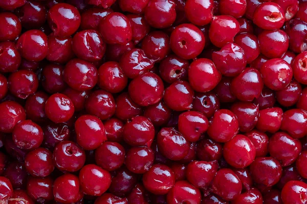 Zubereitete Reife Rote Entkernte Kirschen Zum Trocknen Oder Für Marmelade — Stockfoto