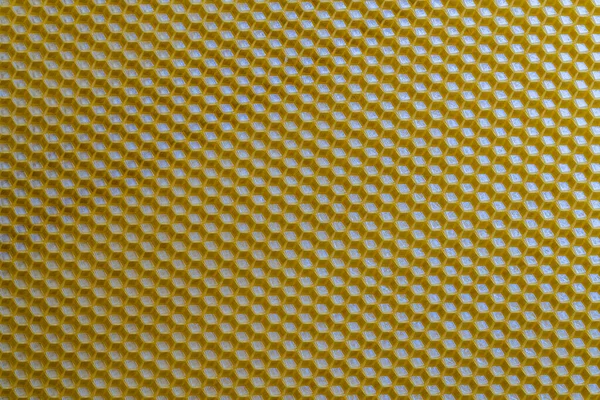 蜂蜜で満たされた蜂の巣からワックスハニカムのセクションVoshinaの背景のテクスチャとパターン Voshinaは ミツバチの構築のための人工的な基盤 細胞のワックスのシート — ストック写真