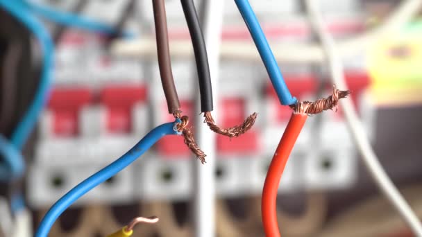 Electricista Macho Conecta Cables Eléctricos Casa Cerca Conexión Muy Peligrosa — Vídeos de Stock