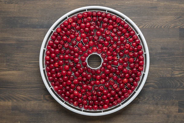 Zubereitete Reife Rote Entsteinte Kirschen Auf Einem Trockentablett Zum Dehydrieren — Stockfoto