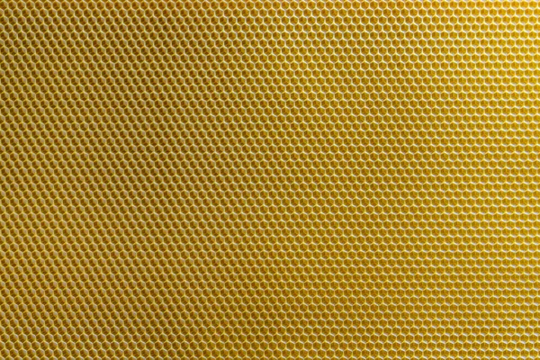 Konsystencja Tła Wzór Sekcji Voshchina Wosku Plastra Miodu Uli Pszczół — Zdjęcie stockowe
