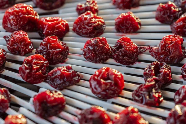 Trocknen Sie Rote Entkernte Kirschen Auf Einem Trockentablett Zum Dehydrieren — Stockfoto