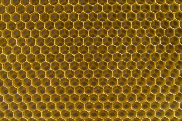 Konsystencja Tła Wzór Sekcji Voshchina Wosku Plastra Miodu Uli Pszczół — Zdjęcie stockowe