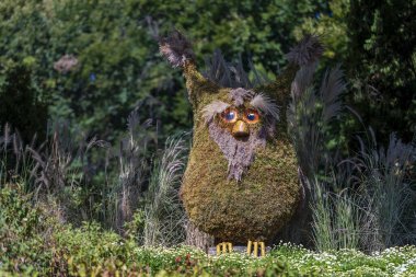Bahçesinde çiçekler ve bitkiler olan dekoratif baykuş, kapat.