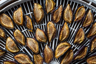 Kuru erikleri kurutma tepsisinde kurutucu için, kapat. Vitaminleri korumanın bir yolu. Vejetaryen yemeği, sağlıklı ve yararlı.