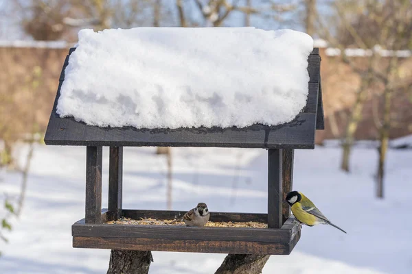 Wooden Bird Feeder Form House Winter Garden Close Behavior Birds —  Fotos de Stock