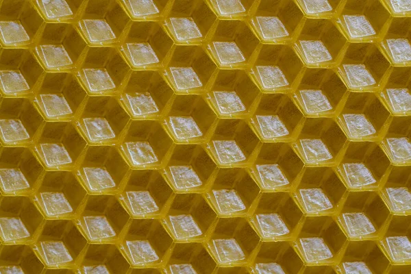 Фоновая Текстура Рисунок Секции Вощеной Соты Пчелиного Улья Наполнения Медом — стоковое фото