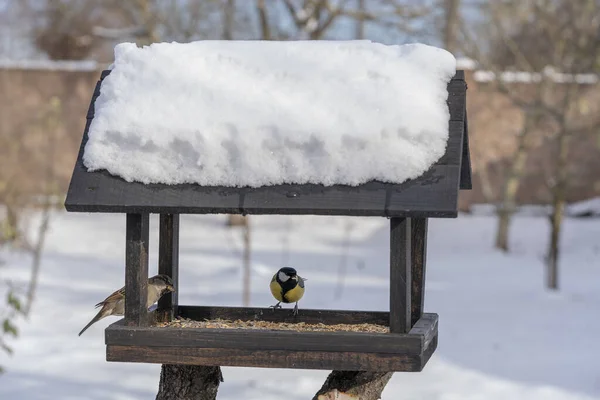Wooden Bird Feeder Form House Winter Garden Close Behavior Birds — Zdjęcie stockowe
