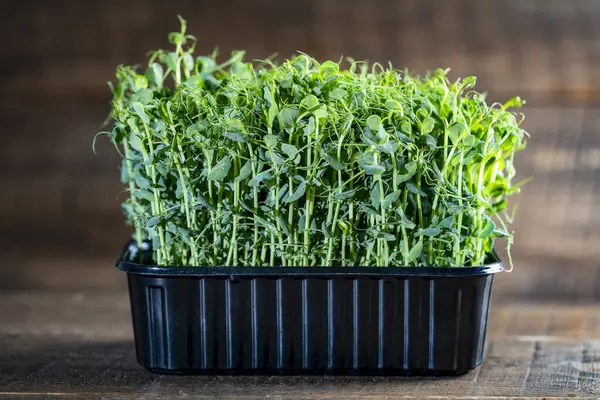 Micro Brotos Ervilhas Verdes Recipiente Plástico Preto Mesa Madeira Perto — Fotografia de Stock