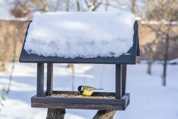 Wooden Bird Feeder Form House Winter Garden Behavior Birds Feeder — Stok fotoğraf