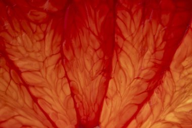 Close up of sliced ripe grapefruit, macro. Red fresh grapefruit surface background or texture. Top view