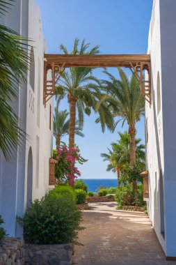 Sharm El Sheikh, Mısır, Afrika tatil köyündeki bir binanın iki beyaz duvarı arasındaki güzel Kızıl Deniz manzarası. Mavi deniz, yeşil palmiye ağacı ve sahilde