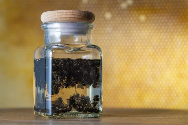 Üvegpalack Tinktúra Halott Méhekből Vodkában Méhsejt Háttér Mögött Közelről Szerves Jogdíjmentes Stock Képek
