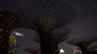 SINGAPORE ŞEHRİ, ŞARKEHİRİ - 29 Mart 2019: marina körfezi yakınlarındaki Gardens 'taki süper ağaçlar, gece aydınlatılmış, Singapur, Güneydoğu Asya. Körfez kıyısında bir bahçe Singapur şehir merkezinde bir doğa parkı.