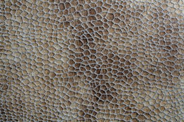 Yılan derisini taklit eden bir kumaş parçasının arka planı ve dokusu.