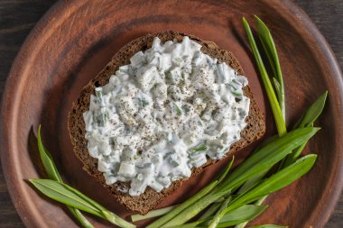 Ekmekli lezzetli sandviç, yeşil yabani sarımsak salatası ve tabakta ekşi krema, kapat.