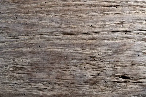 Rustic weathered barn wood background with termites holes. Top view of vintage brown wooden barn oak with cracks and woodgrain. Old wood with nature texture and pattern. Weathered barn timber