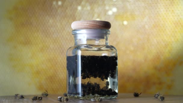 玻璃瓶从伏特加中的死蜜蜂中提取的药水 在蜂窝的背景下 蜂窝多 天然养蜂产品 养蜂疗法的有机植物浓缩药水 — 图库视频影像