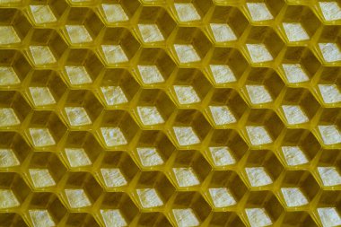 Bal dolu bir arı kovanından alınan balmumu bal peteğinin arka plan dokusu ve şablonu. Voshchina bal peteği yapımında yapay bir temel, hücrelerin balmumu tabakası