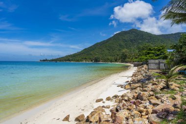 Koh Phangan Adası, Tayland, seyahat ve doğa konsepti üzerinde sabah vakti kaya ve mavi deniz suyuyla güzel tropikal kumsal.