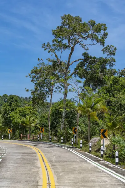 Empty Concrete Road Turn Signposts Rainforest Sunny Summer Day Tropical — Stock Photo, Image