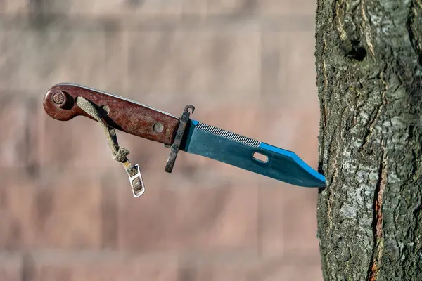 Военный Старый Штыковый Нож Дереве Закрывается Улице Штыковый Нож Изготовленный Лицензионные Стоковые Фото